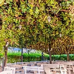 Izola Paradise Hotell 4*