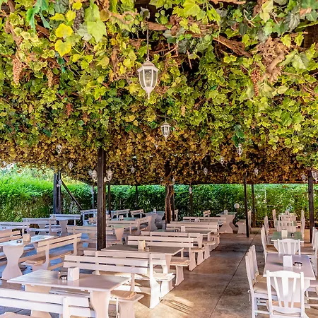 Хотел изола парадайз - ол инклузив