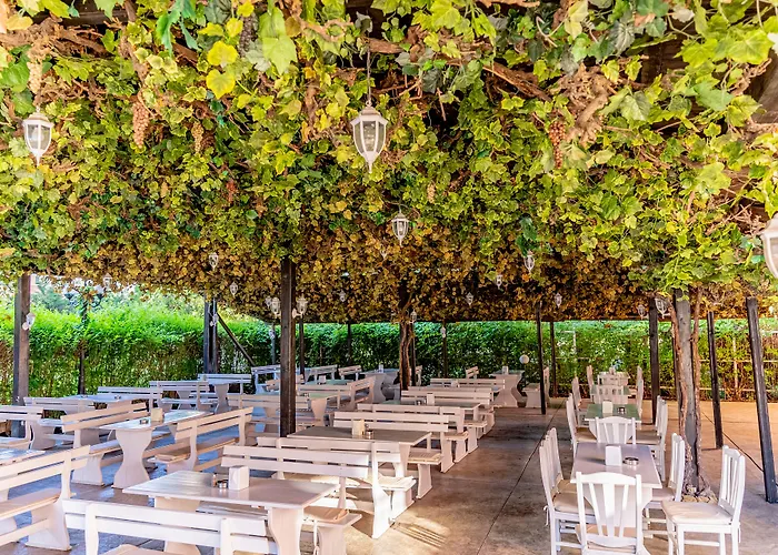 Hotel Izola Paradise